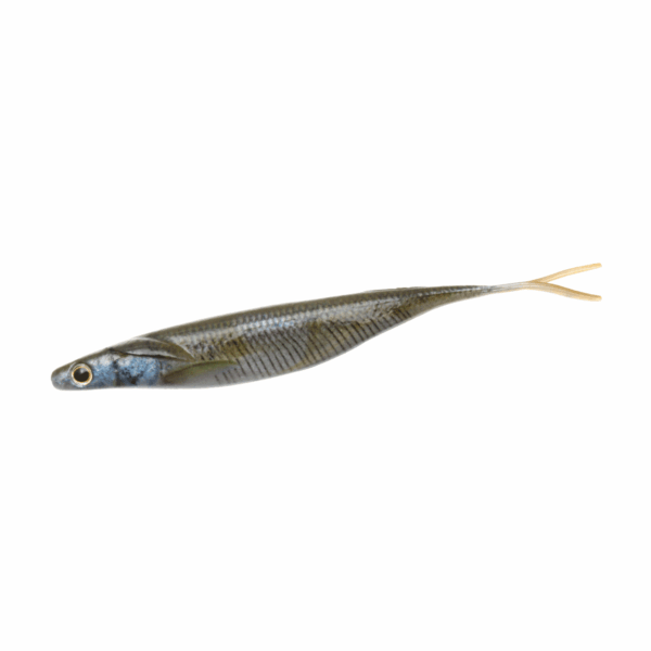 DEPS SAKAMATA SHAD 6" REAL