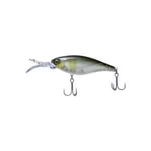 FLASH UNION SPEED KILLER F