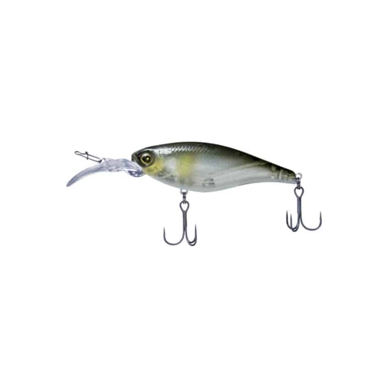 FLASH UNION SPEED KILLER F