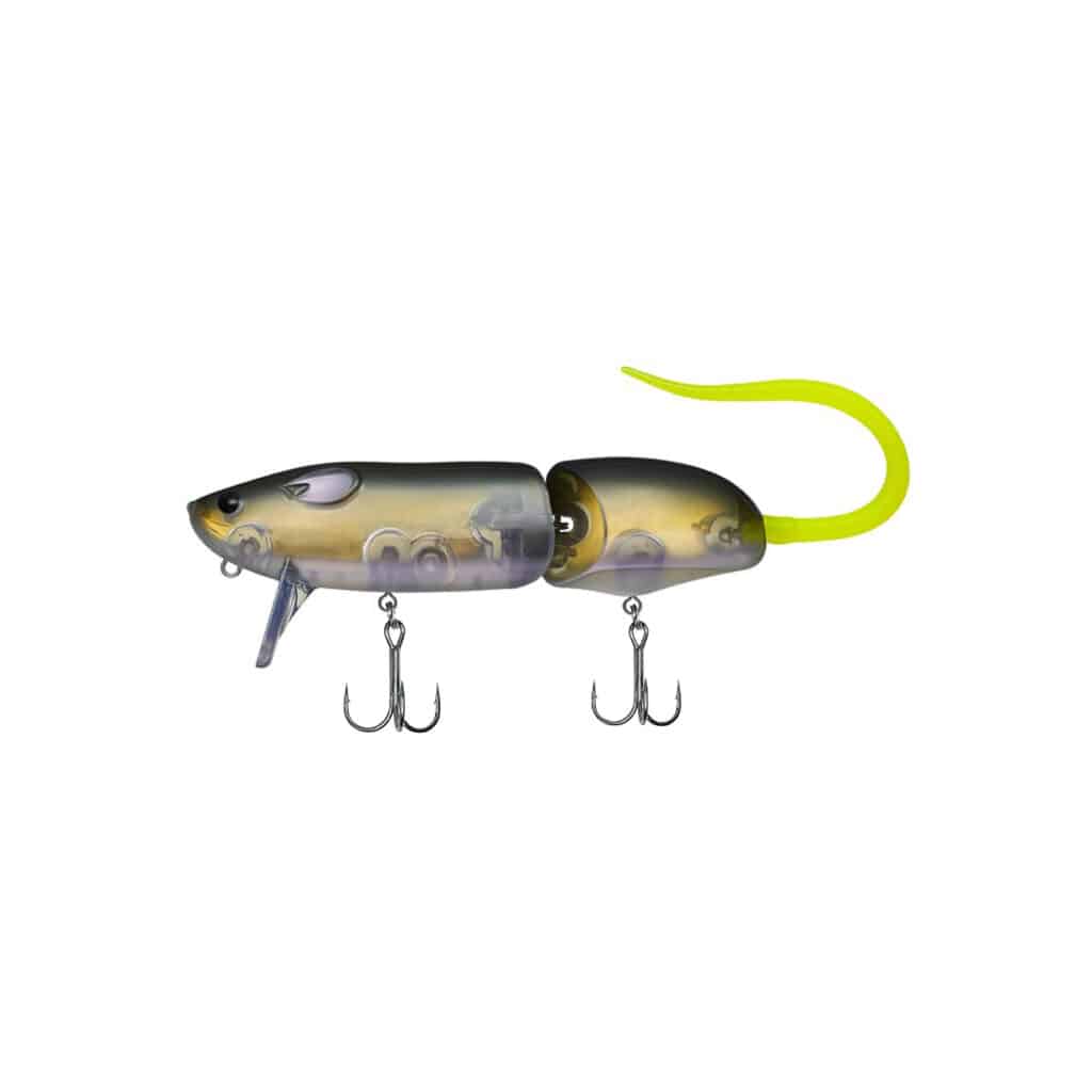 EVERGREEN COMBAT RAT