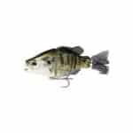 DUO REALIS SNAPPY CRAPPIE