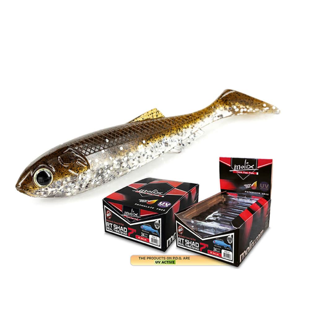 MOLIX RT SHAD 9" BULK