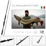 FAVORITE ALLIGATOR-29885